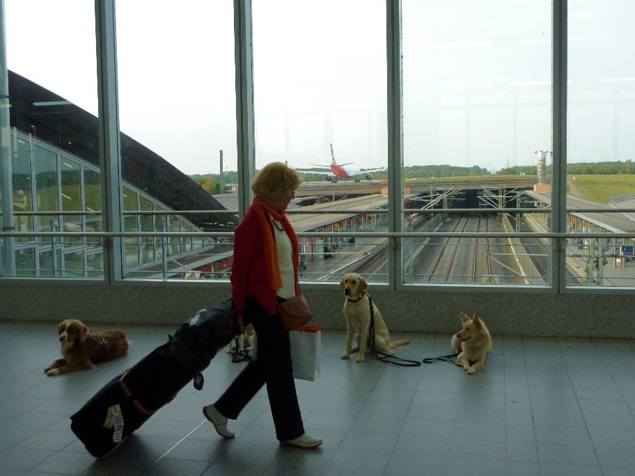 Flughafen Gruppentraining unter Ablenkung